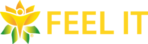 logo-feel-it